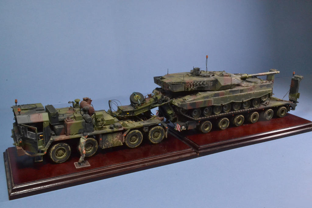 Faun & Leopard 6