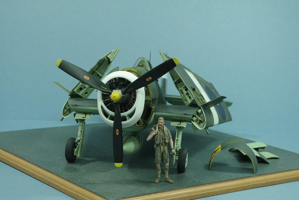 Grumman F6F Hellcat, 1:24 scale