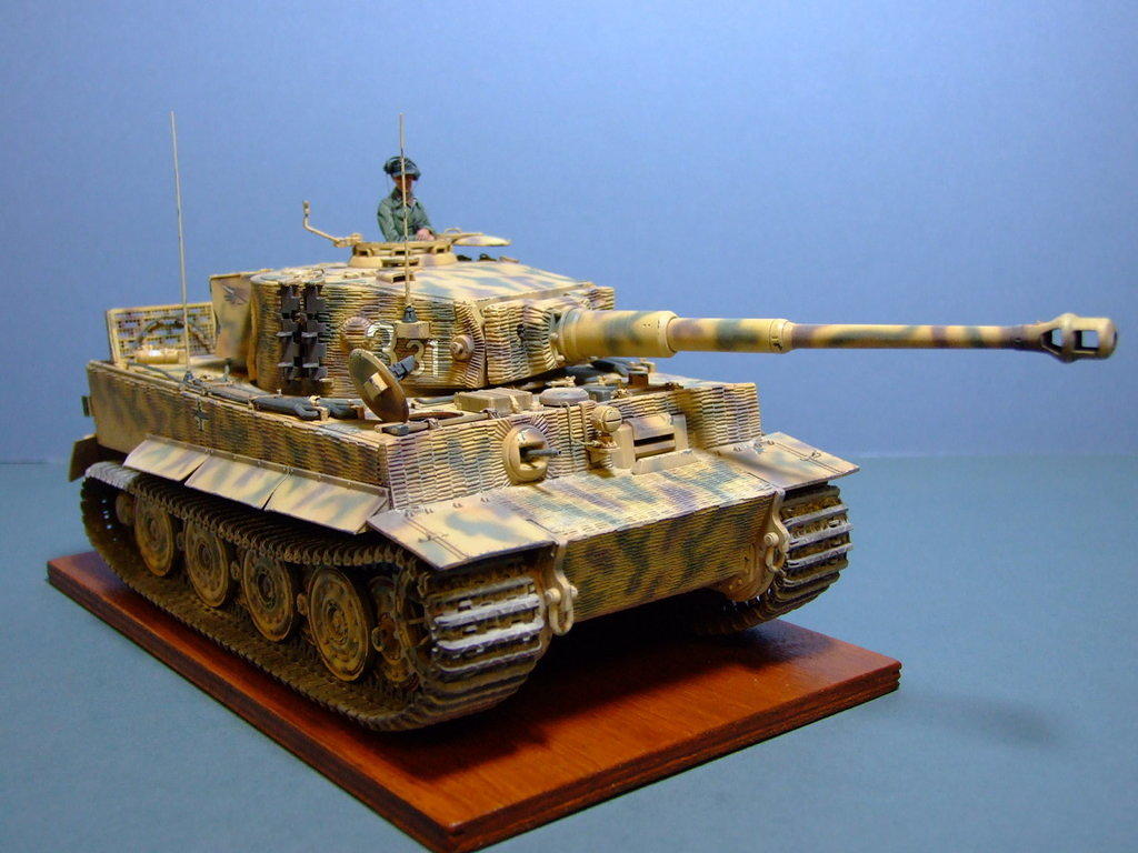 Tiger, SPzAbt 504