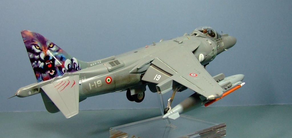 AV-8B Harrier II+, IGA5, Marina Militare, 1:48
