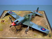 RAF Mustang III from Tamiya