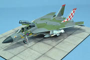 RAF F-14 Tomcat