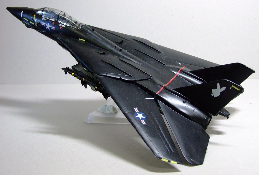 F-14A Tomcat, VX-4, US Navy, 1:48