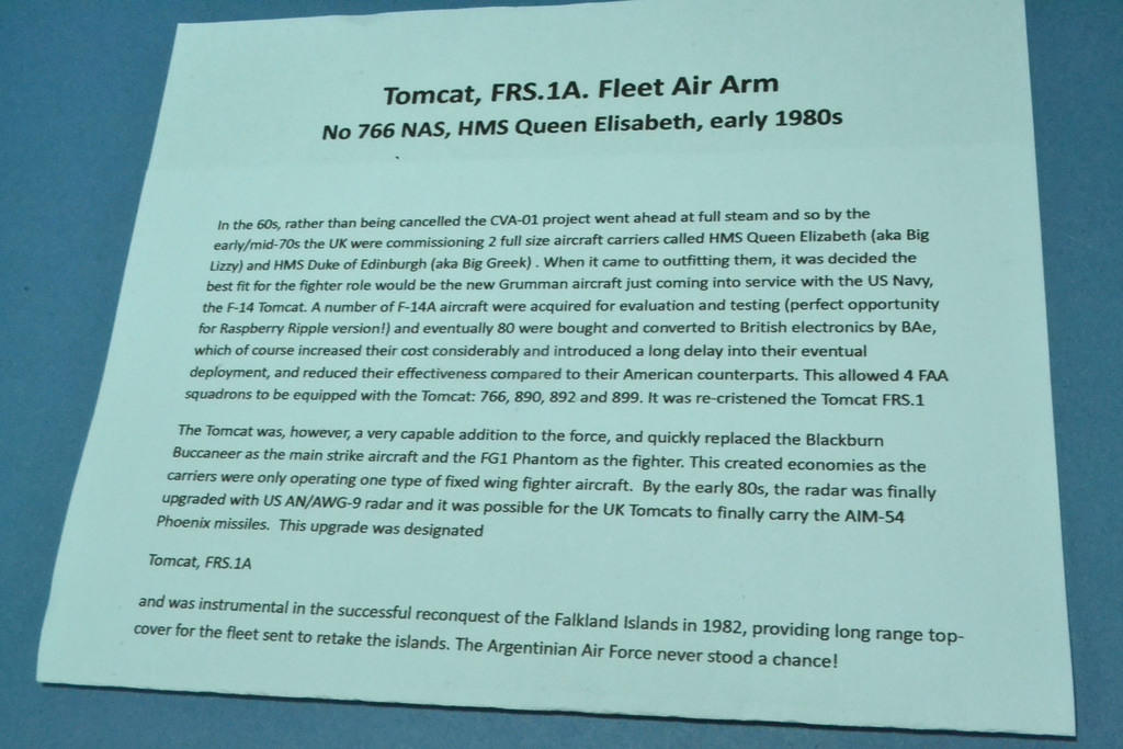 Tomcat FRS.1A, FAA