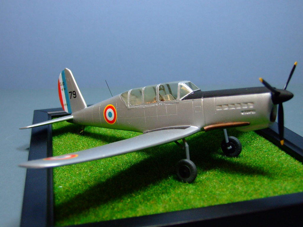 SIPA 10 (Arado Ar396)