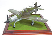 1:72 Dornier Do 355 A12 "Push Me Pull You"